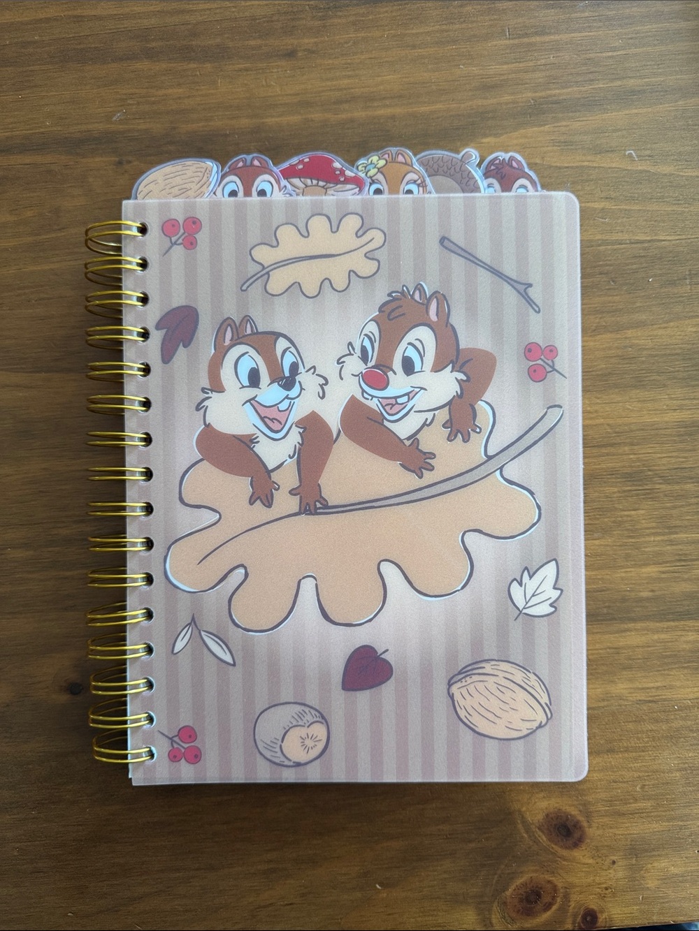 Disney Chip 'n' Dale Fall Leaf Spiral Notebook – Brown & Gold